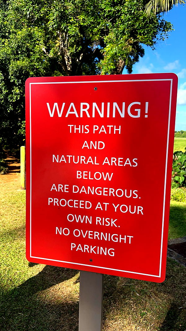 carmmieecat image ~ Altpins