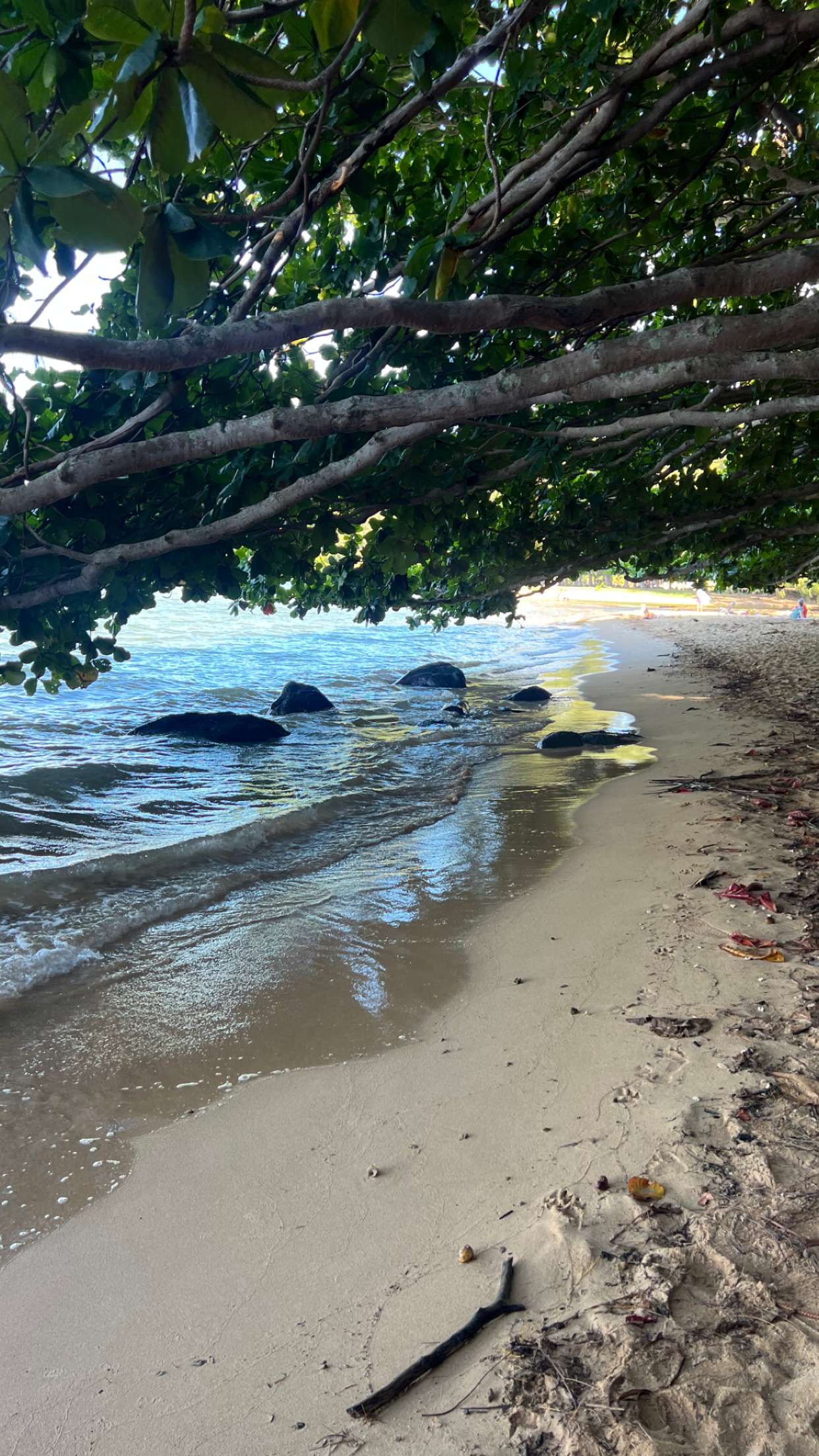 carmmieecat snapchat image archive image