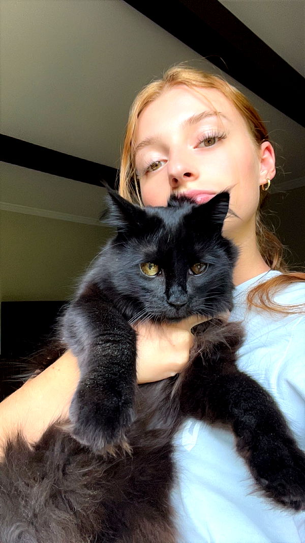 carmmieecat image ~ Altpins