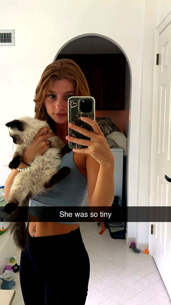 carmmieecat image ~ Altpins