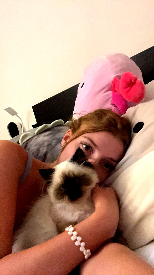 carmmieecat image ~ Altpins