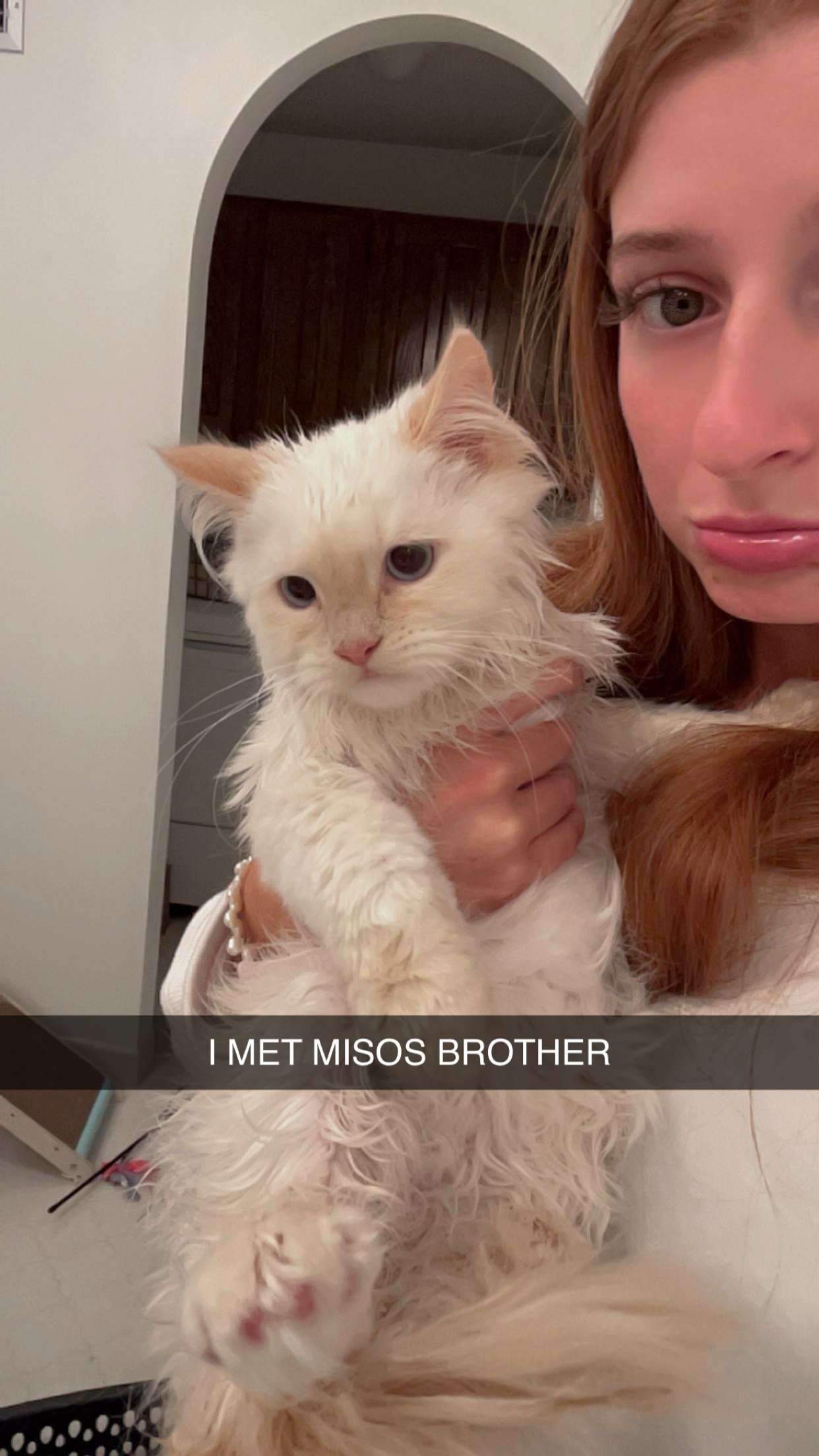 carmmieecat snapchat image archive image