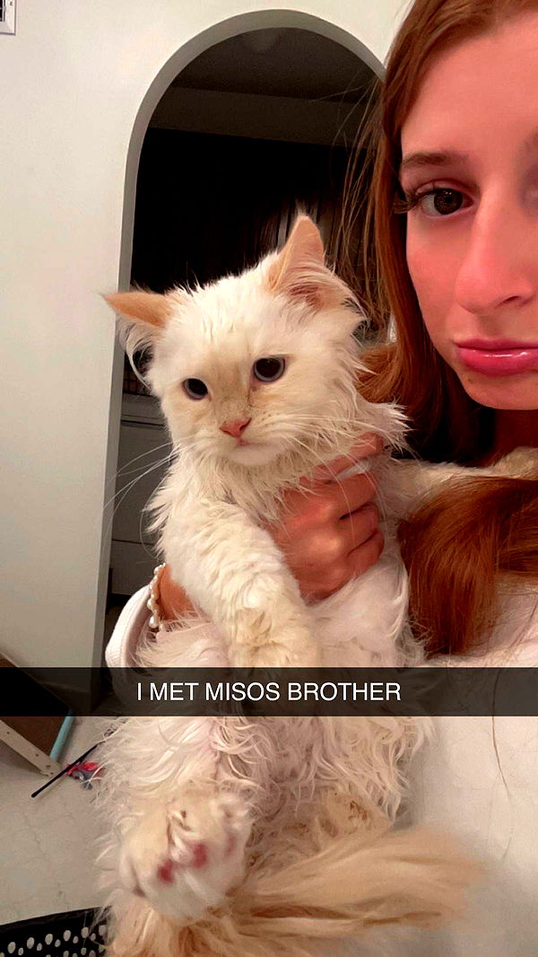 carmmieecat image ~ Altpins