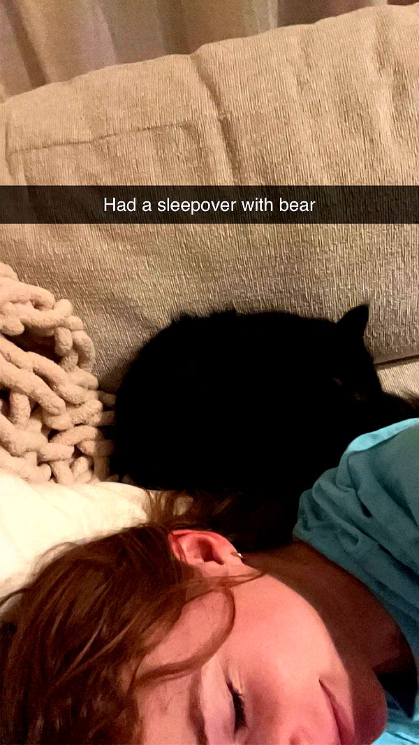 carmmieecat image ~ Altpins