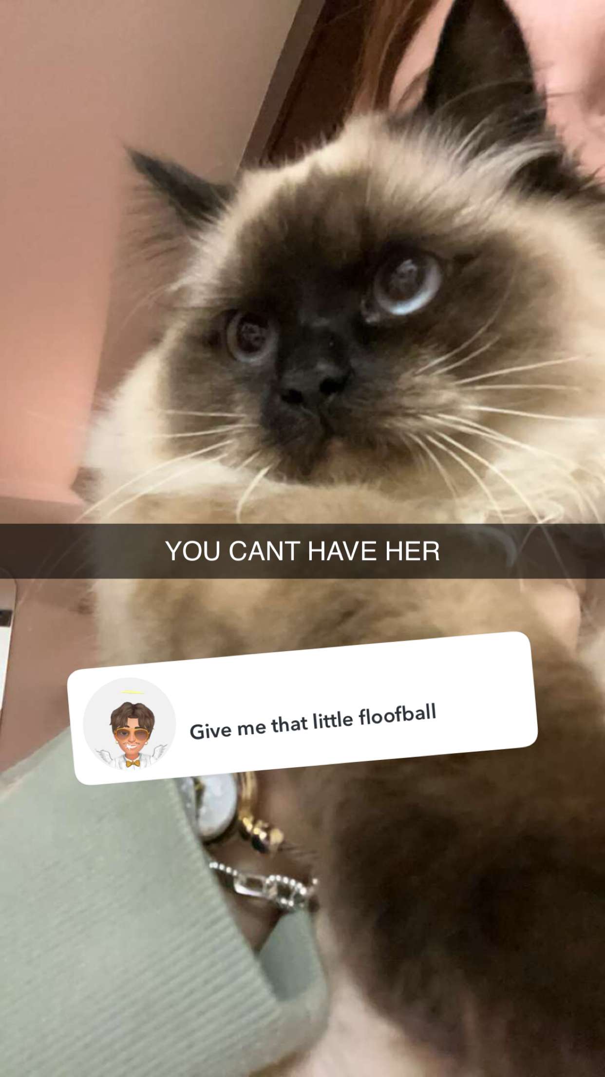 carmmieecat snapchat image archive image