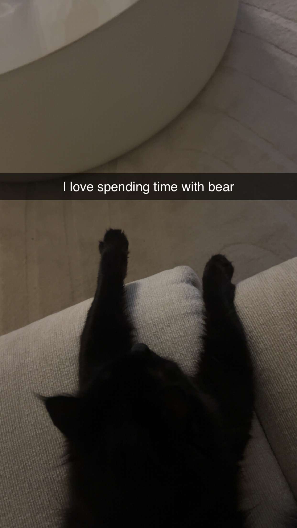 carmmieecat snapchat image archive image