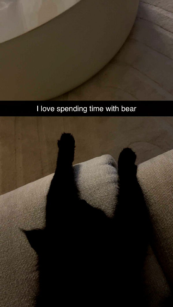 carmmieecat image ~ Altpins