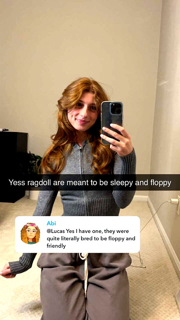 carmmieecat image ~ Altpins