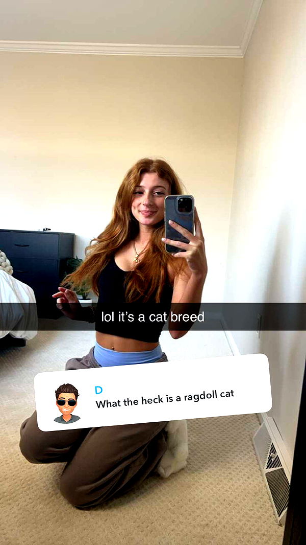 carmmieecat image ~ Altpins