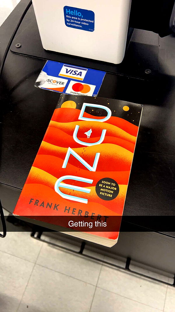 carmmieecat image ~ Altpins