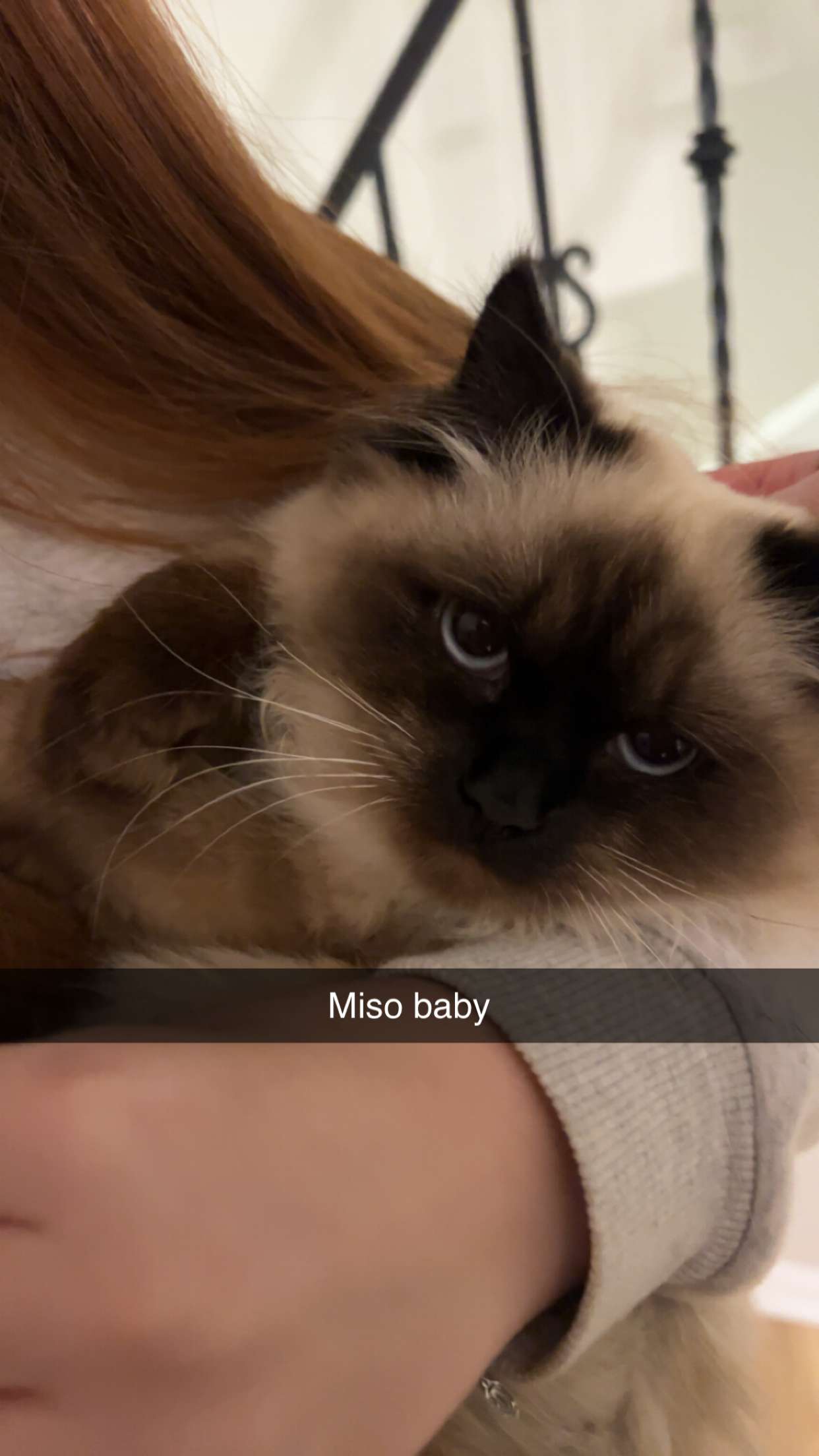 carmmieecat snapchat image archive image