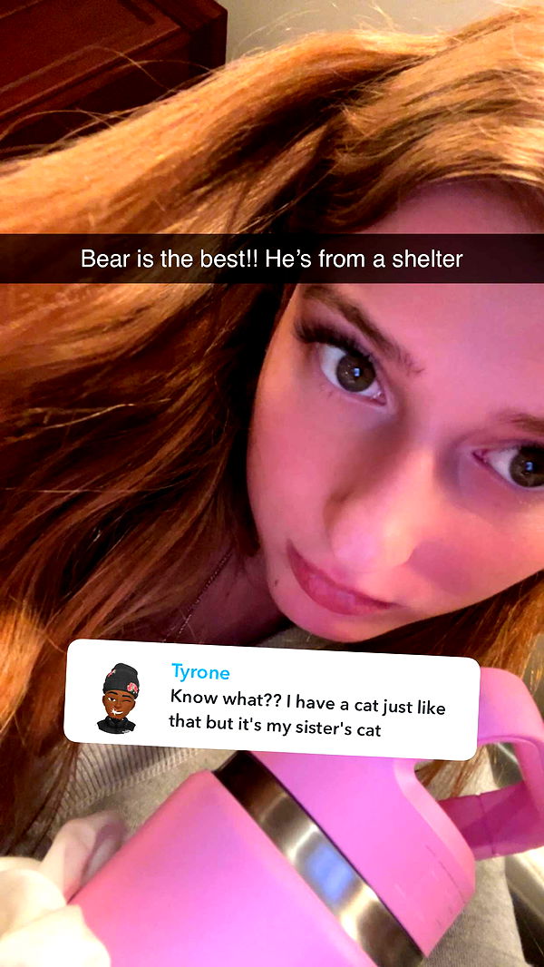 carmmieecat image ~ Altpins