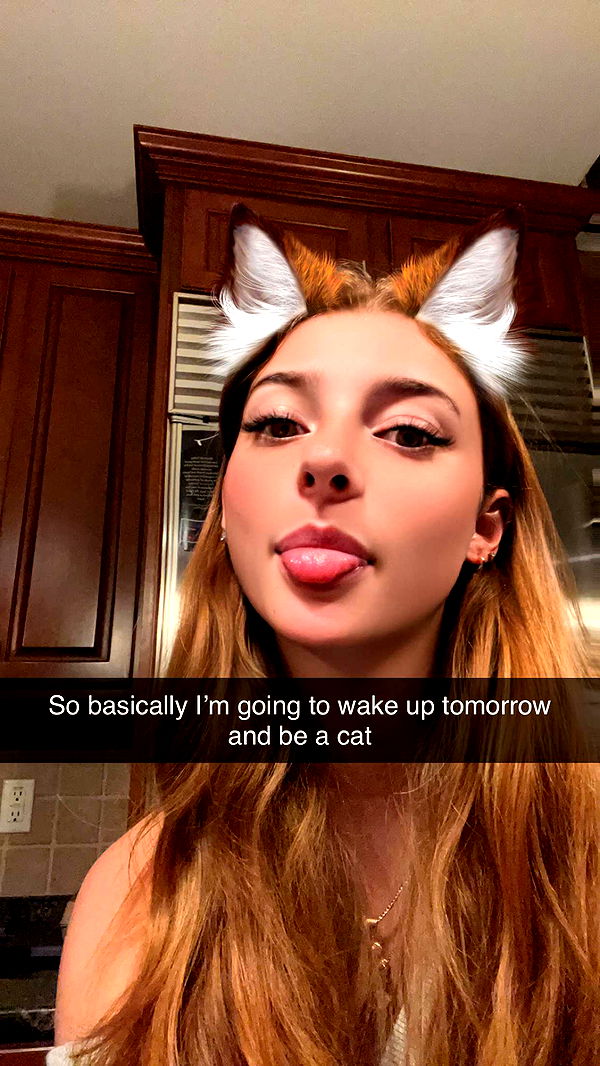 carmmieecat image ~ Altpins