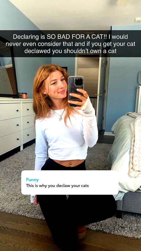 carmmieecat image ~ Altpins