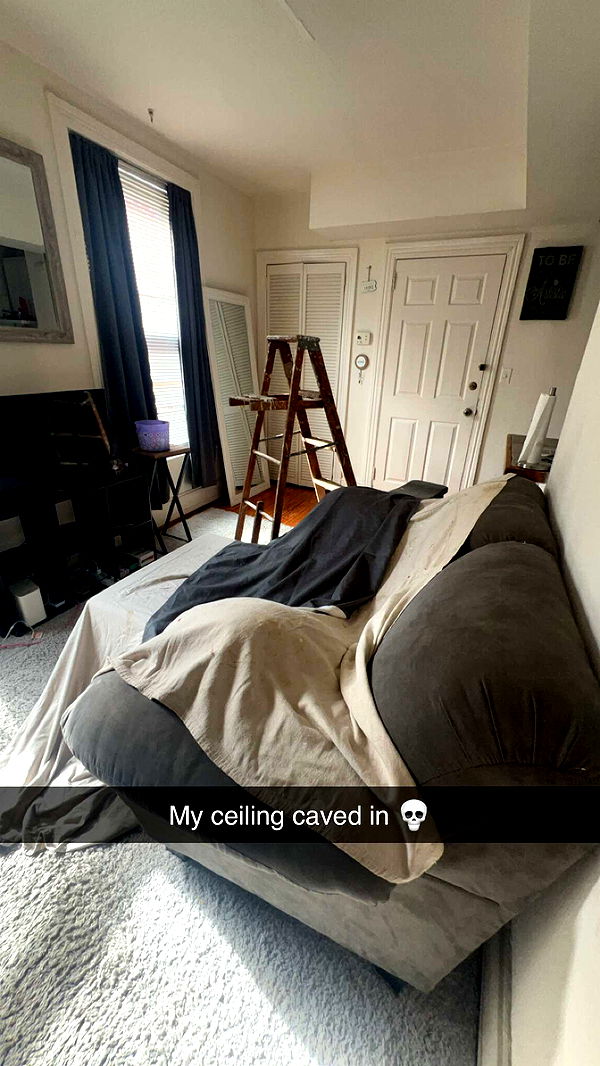 carmmieecat image ~ Altpins