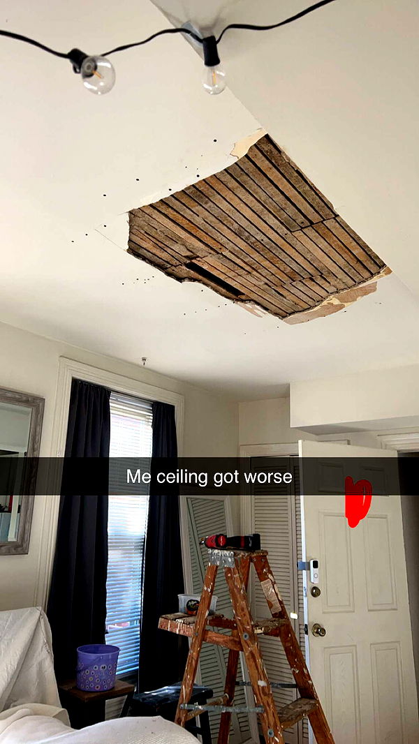 carmmieecat image ~ Altpins