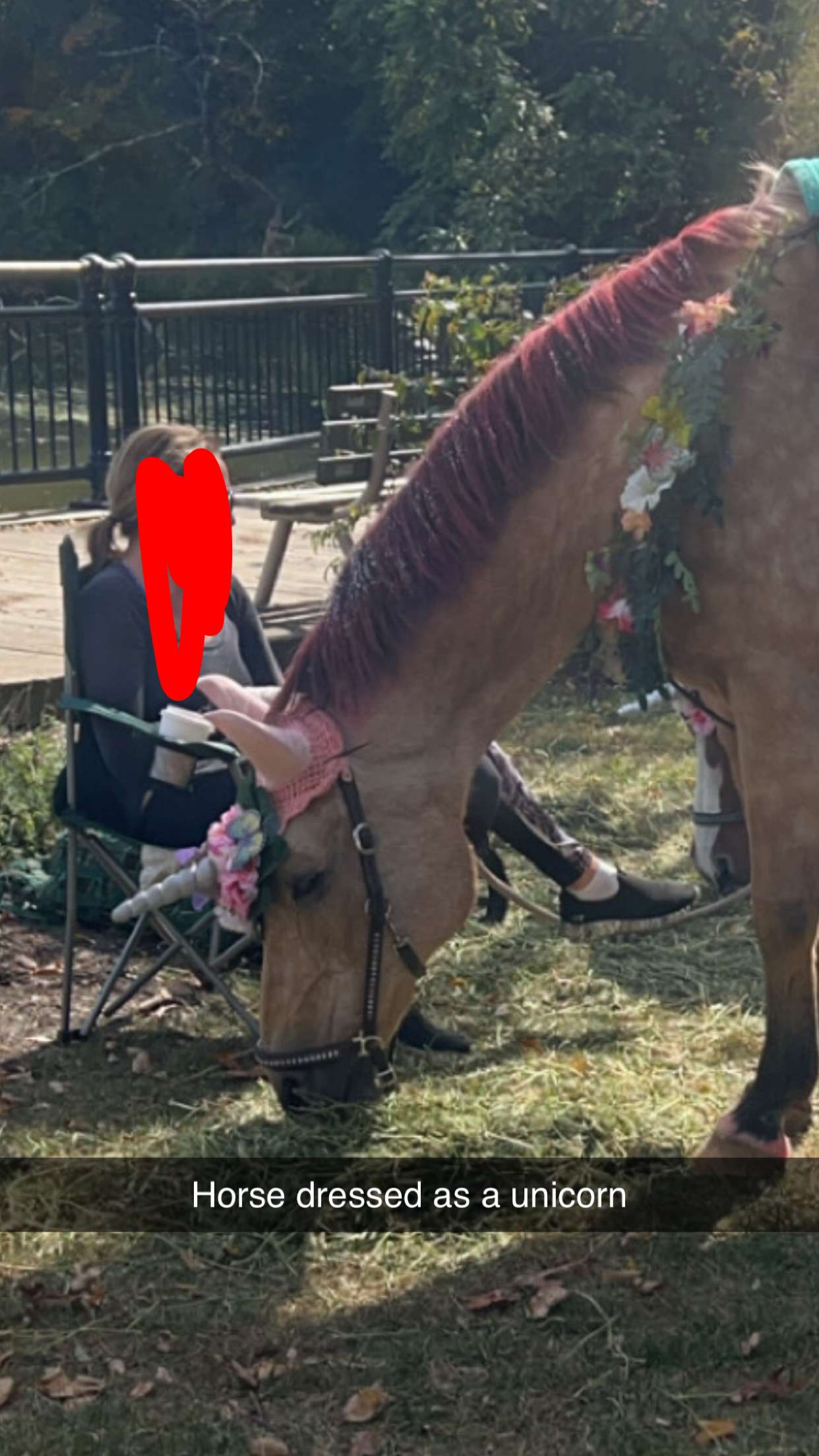 carmmieecat snapchat image archive image