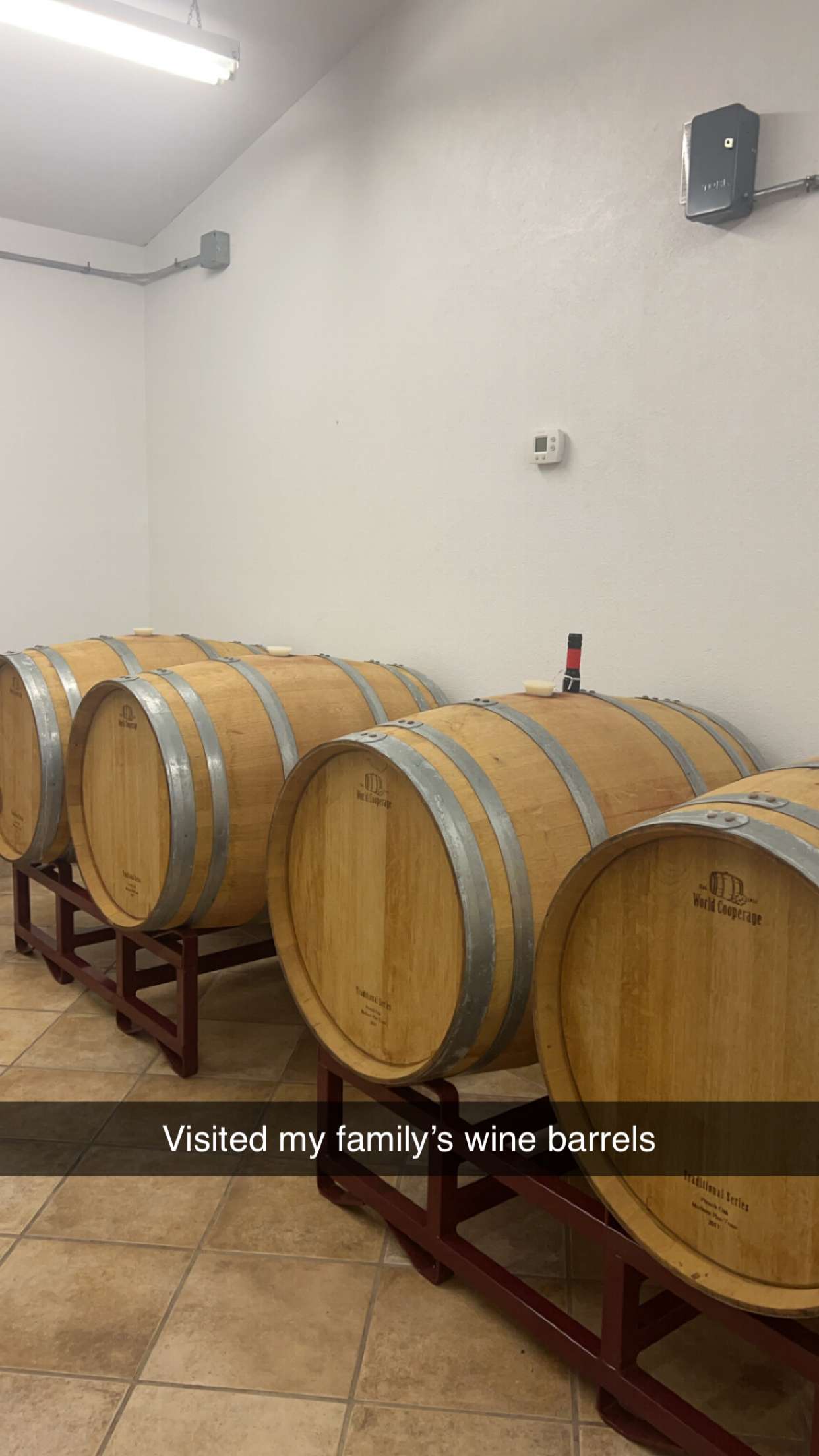 carmmieecat snapchat image archive image