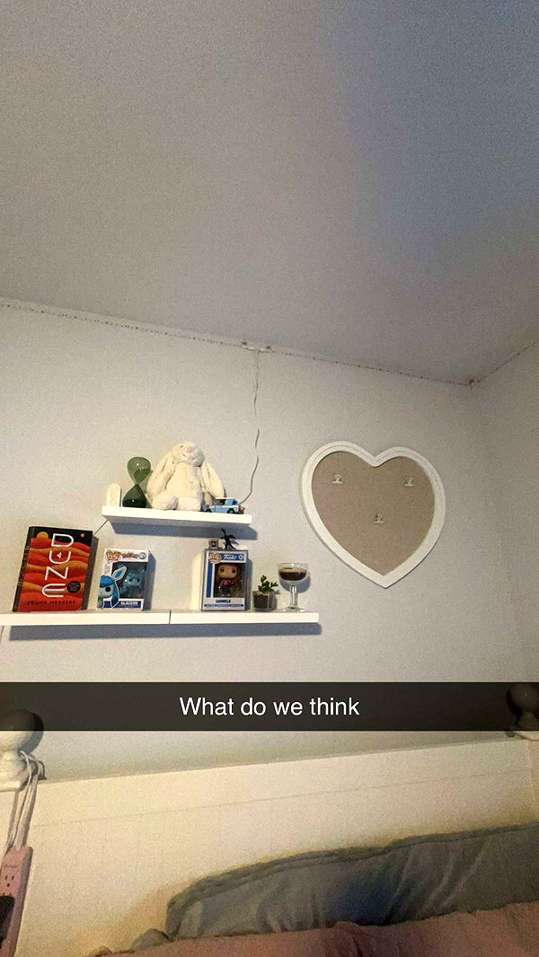 carmmieecat image ~ Altpins