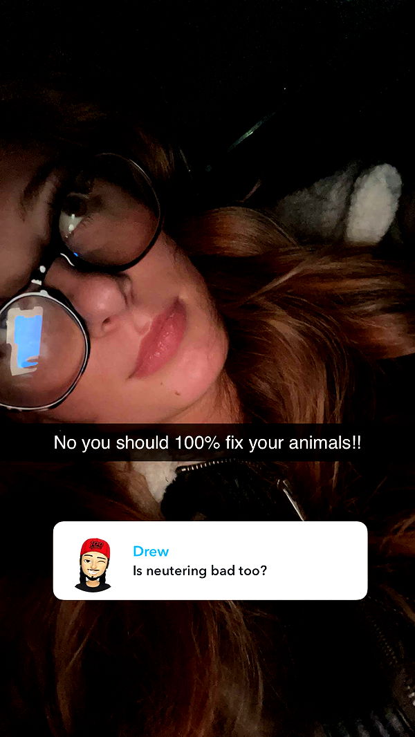 carmmieecat image ~ Altpins