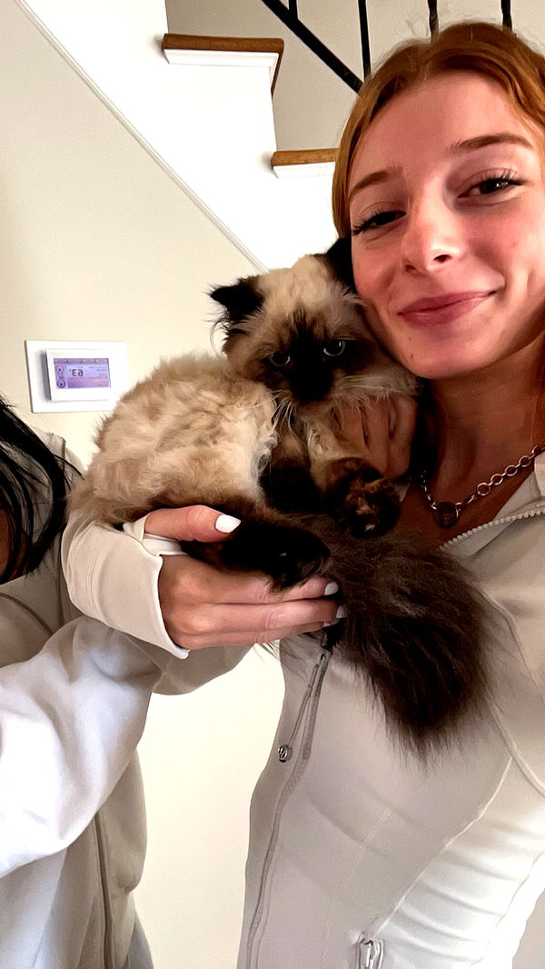 carmmieecat image ~ Altpins