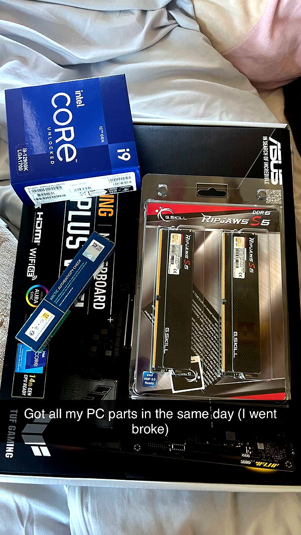 carmmieecat image ~ Altpins