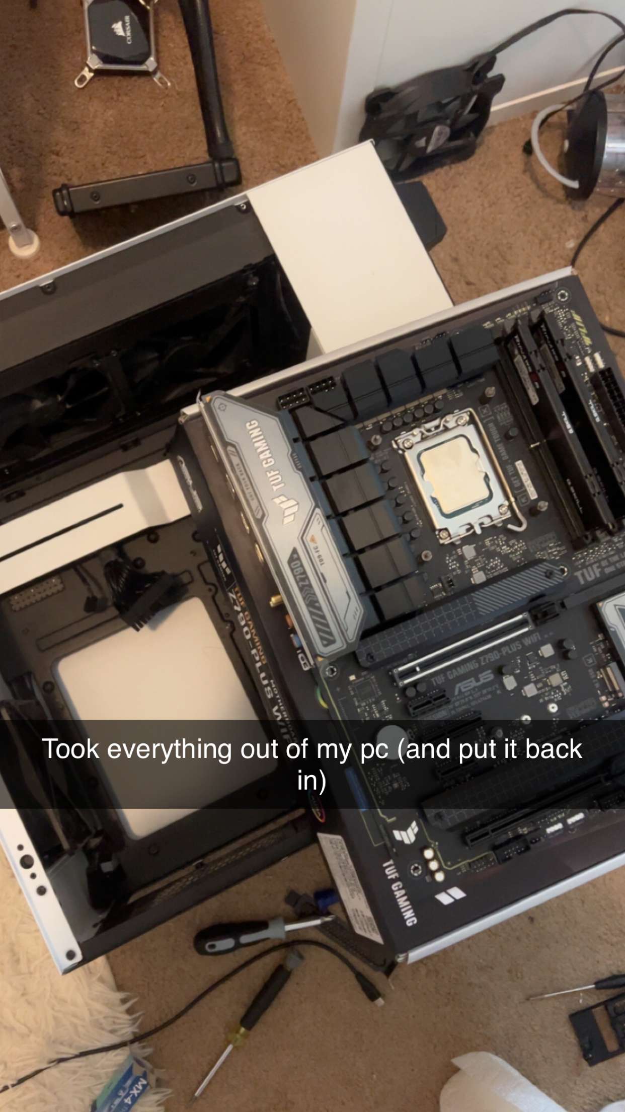 carmmieecat snapchat image archive image