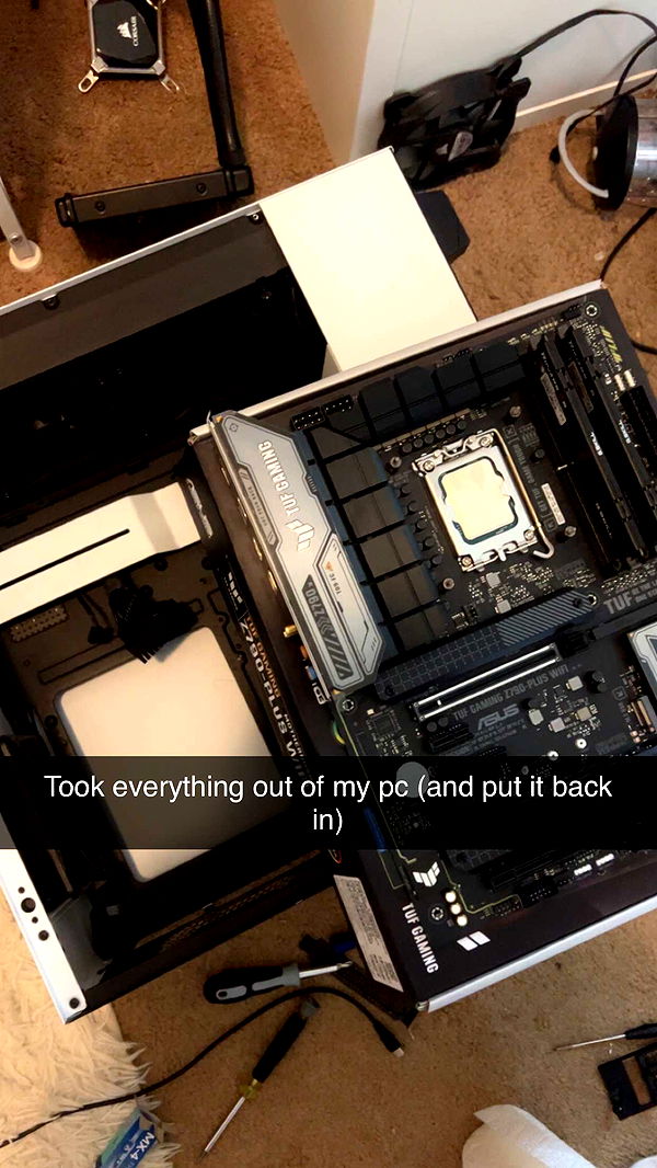 carmmieecat image ~ Altpins