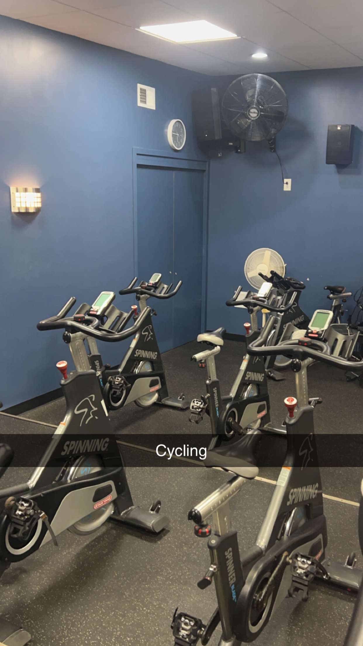 carmmieecat snapchat image archive image