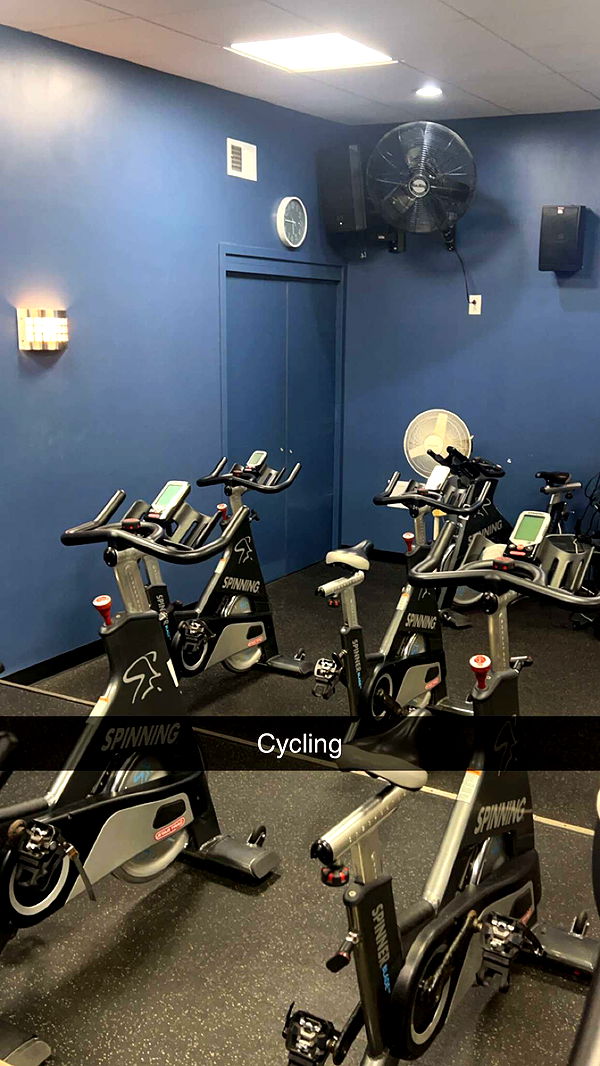 carmmieecat image ~ Altpins