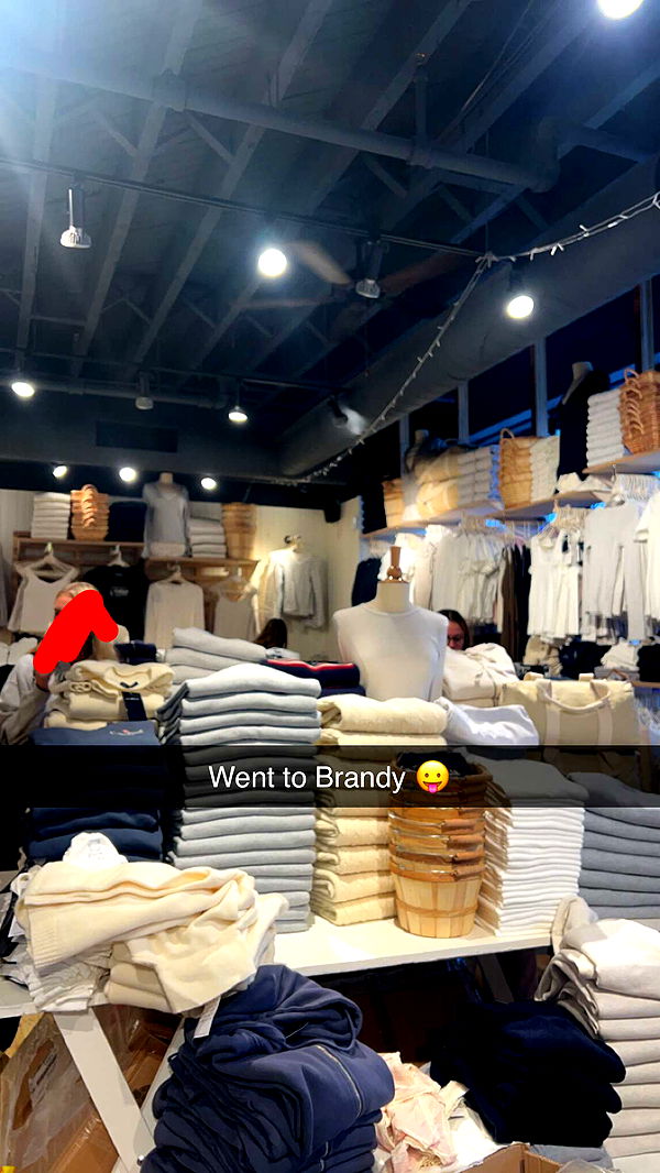 carmmieecat image ~ Altpins