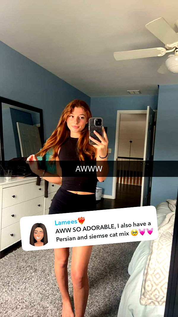 carmmieecat image ~ Altpins