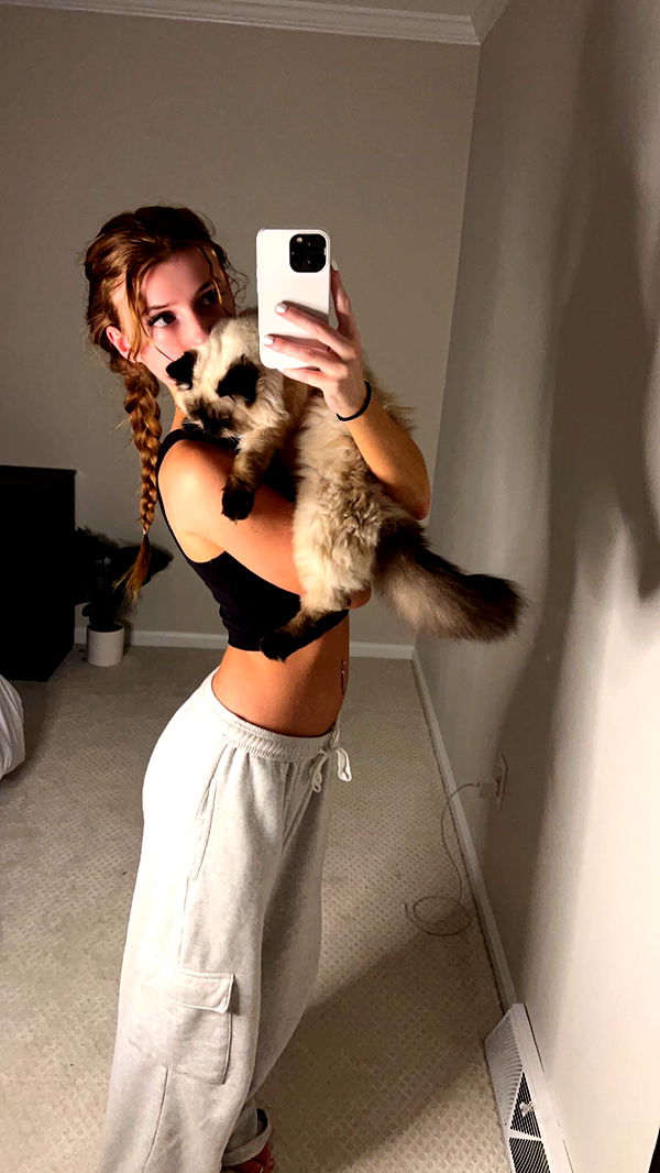 carmmieecat image ~ Altpins