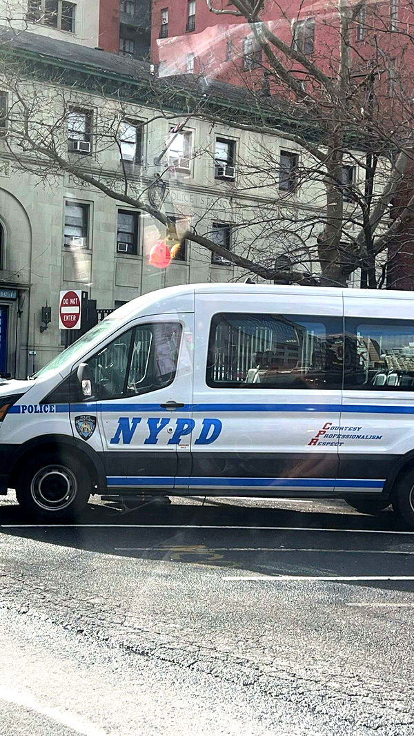 carmmieecat image ~ Altpins