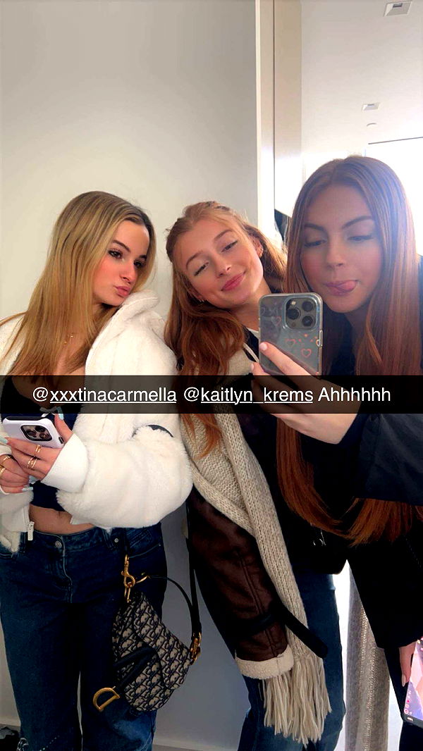 carmmieecat image ~ Altpins