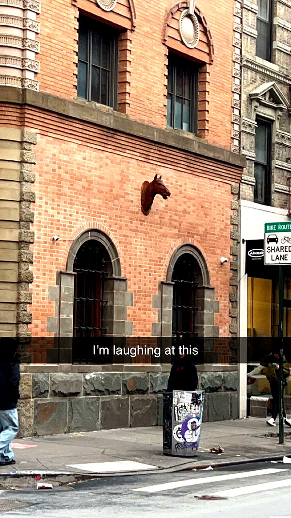 carmmieecat image ~ Altpins