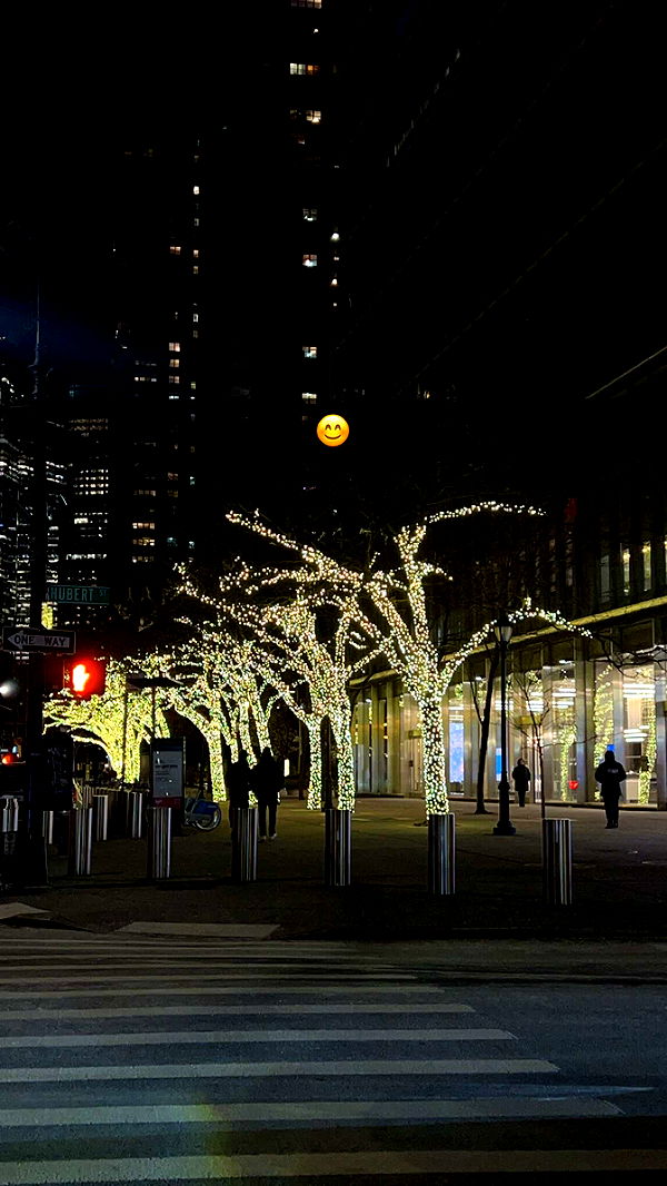 carmmieecat image ~ Altpins