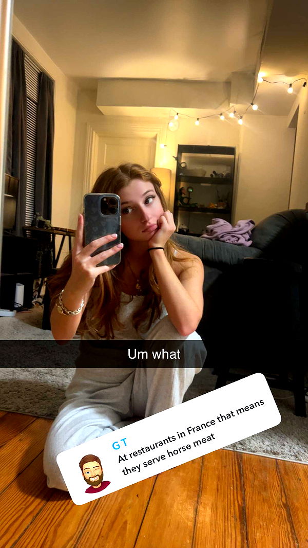 carmmieecat image ~ Altpins