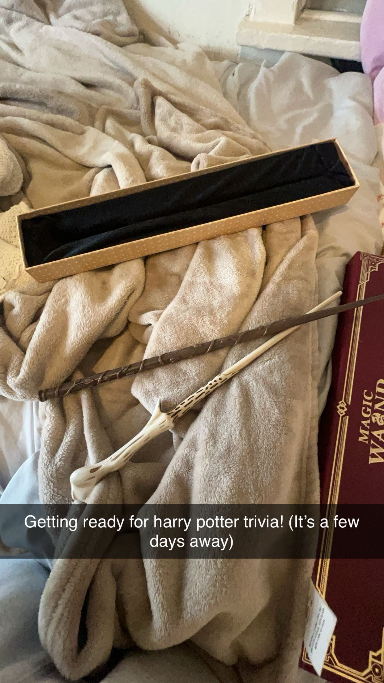 carmmieecat snapchat image archive image