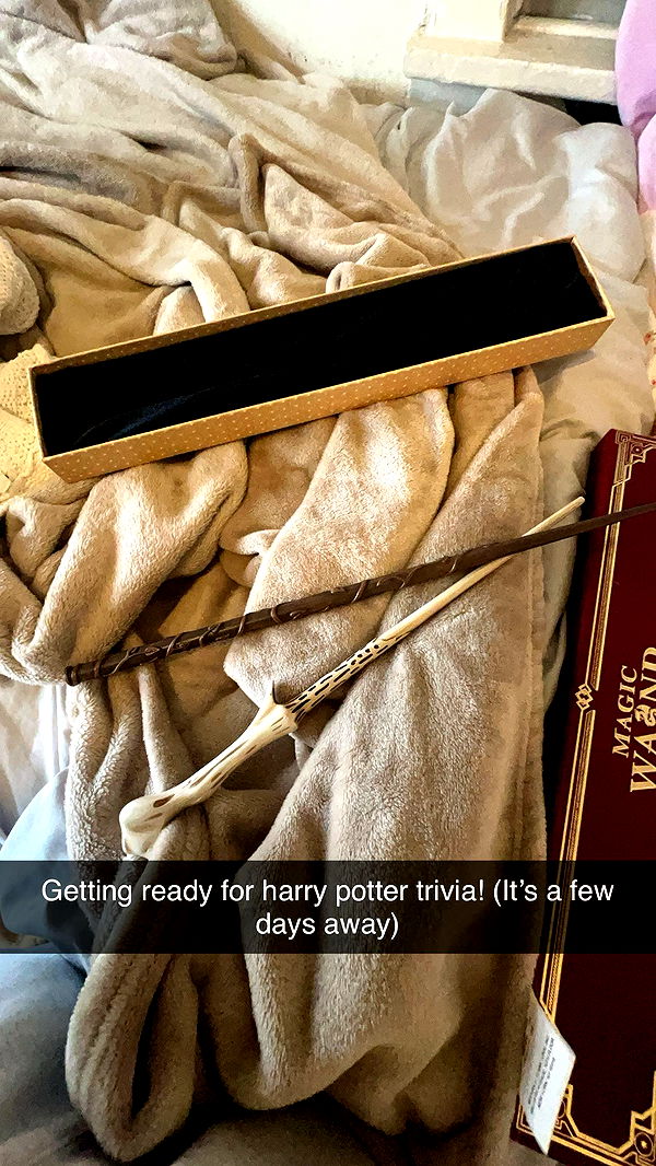 carmmieecat image ~ Altpins