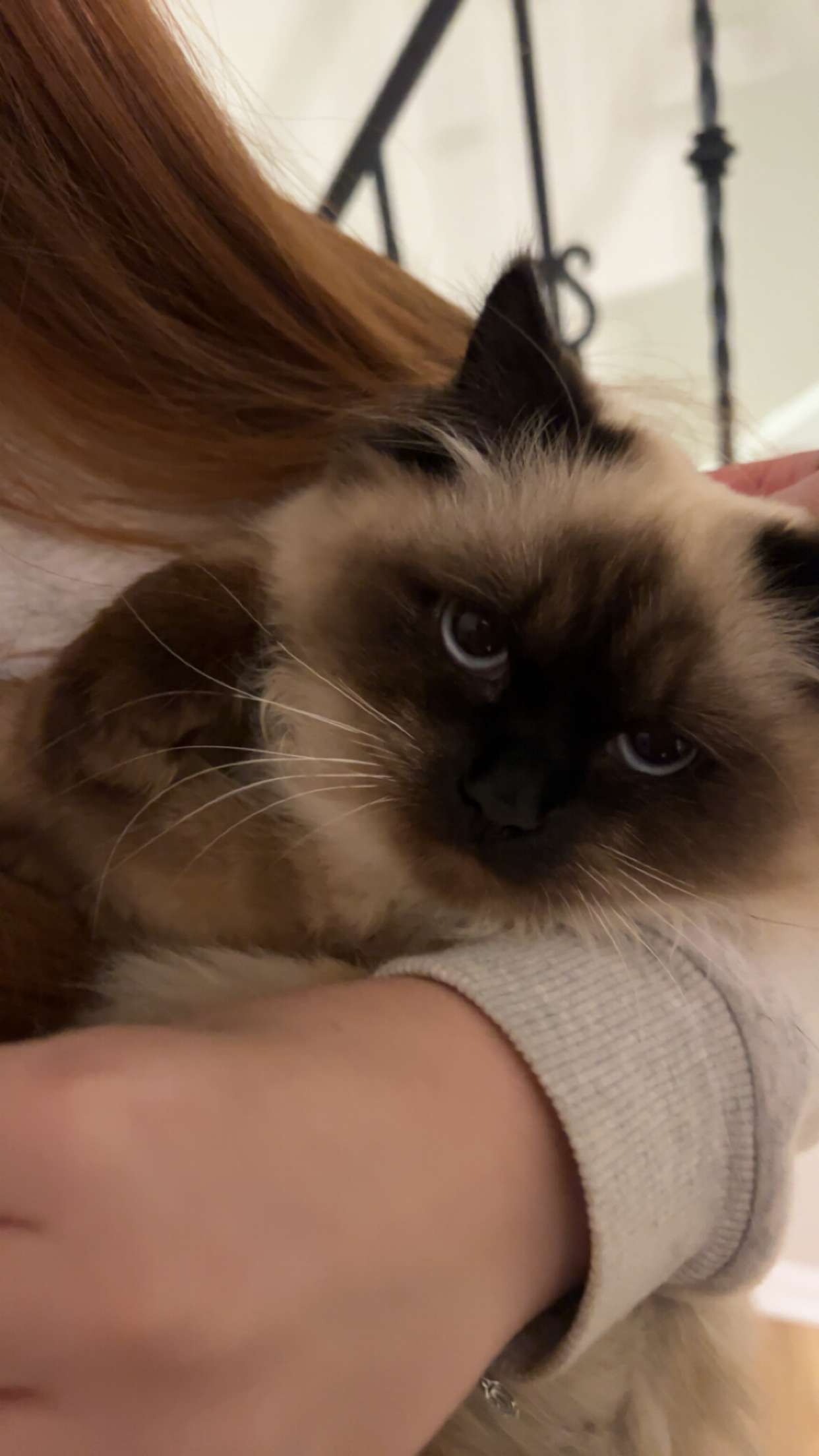 carmmieecat snapchat image archive image