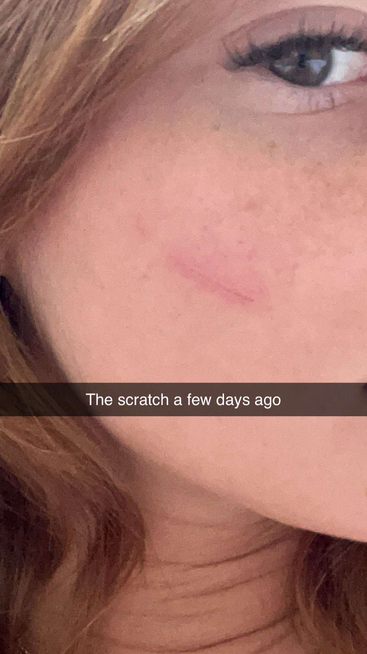 carmmieecat snapchat image archive image