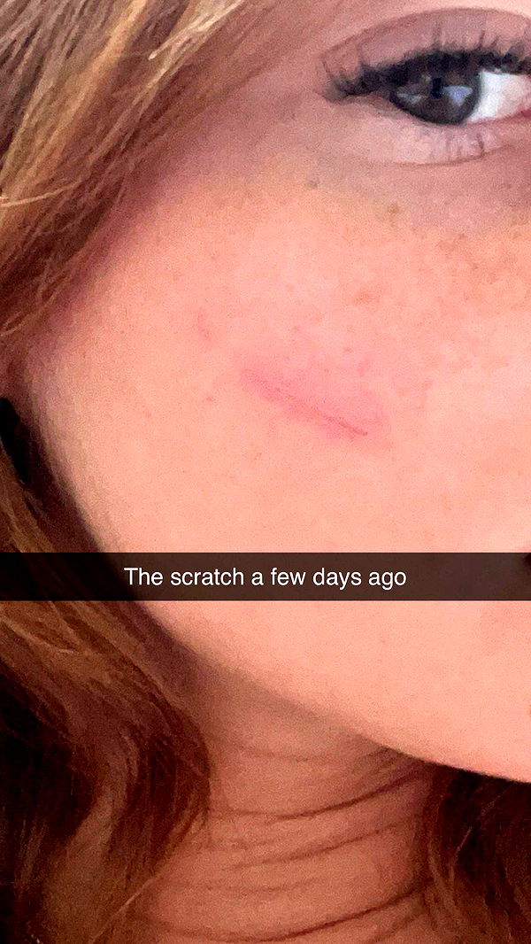 carmmieecat image ~ Altpins