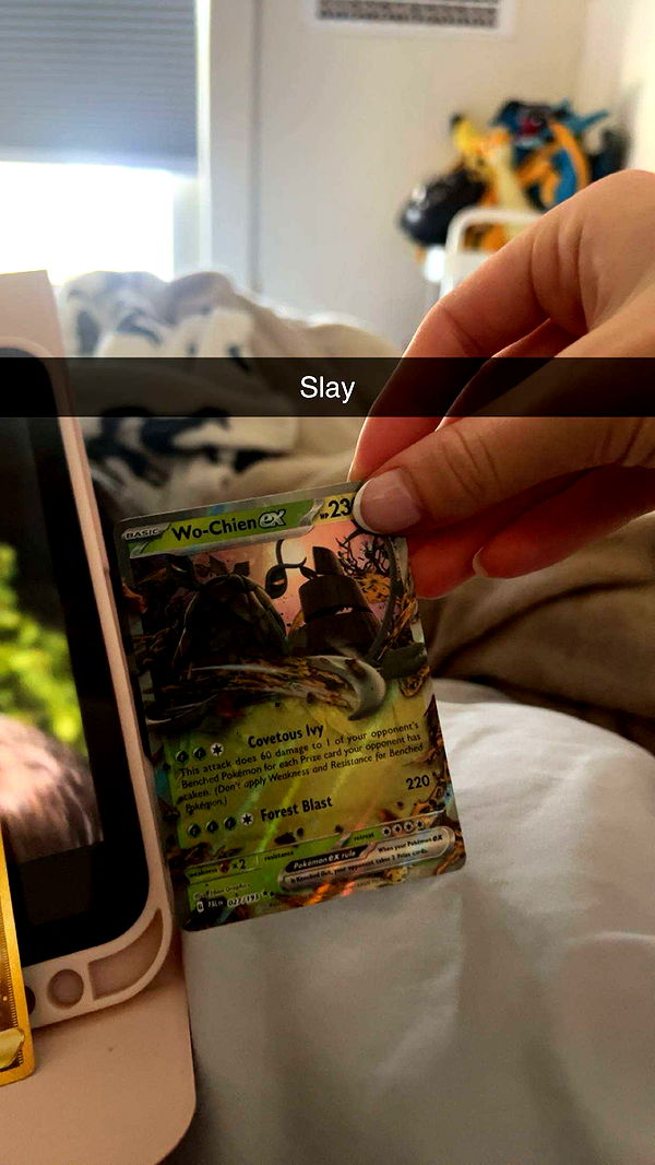 carmmieecat image ~ Altpins