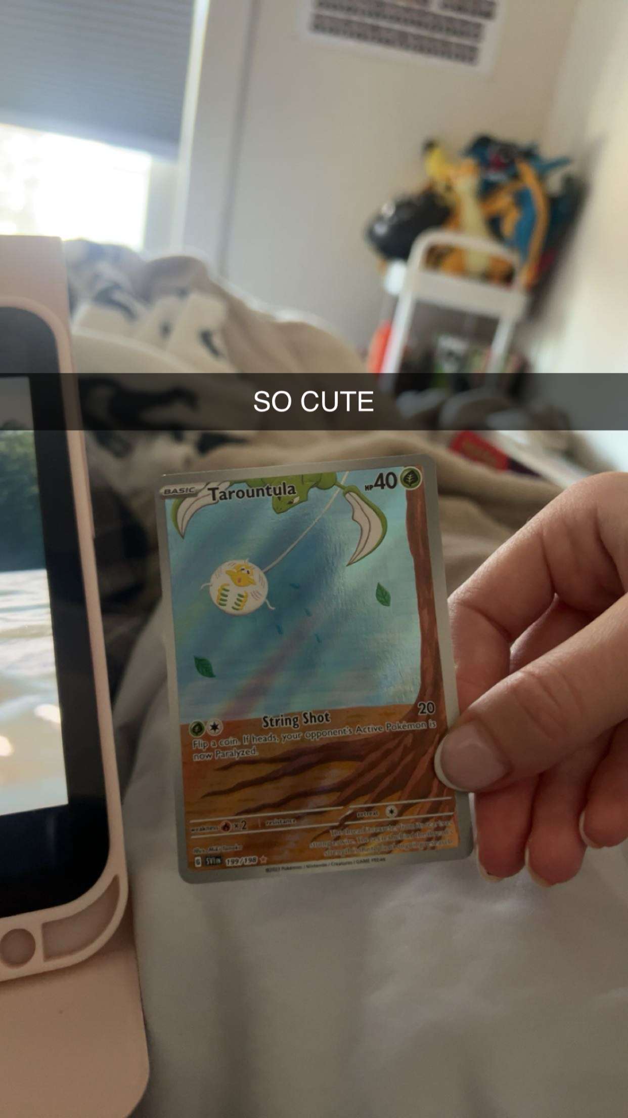 carmmieecat snapchat image archive image