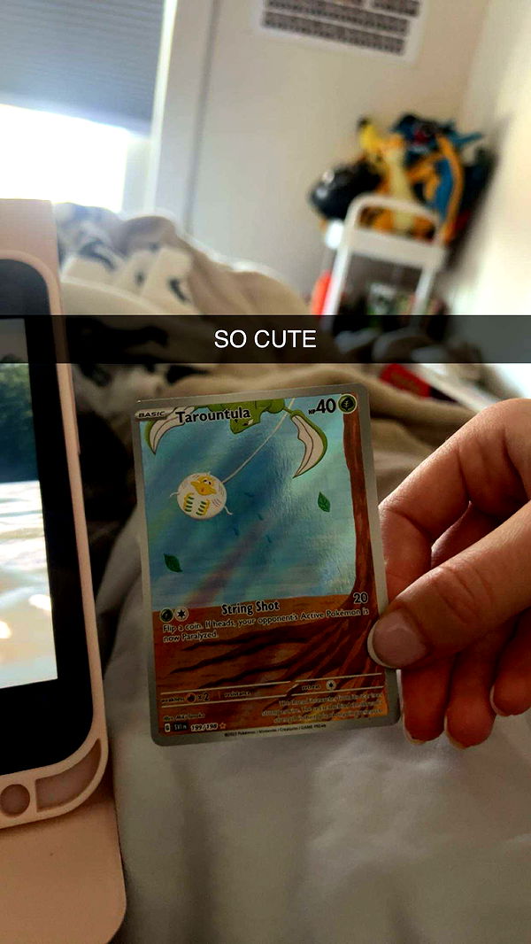 carmmieecat image ~ Altpins