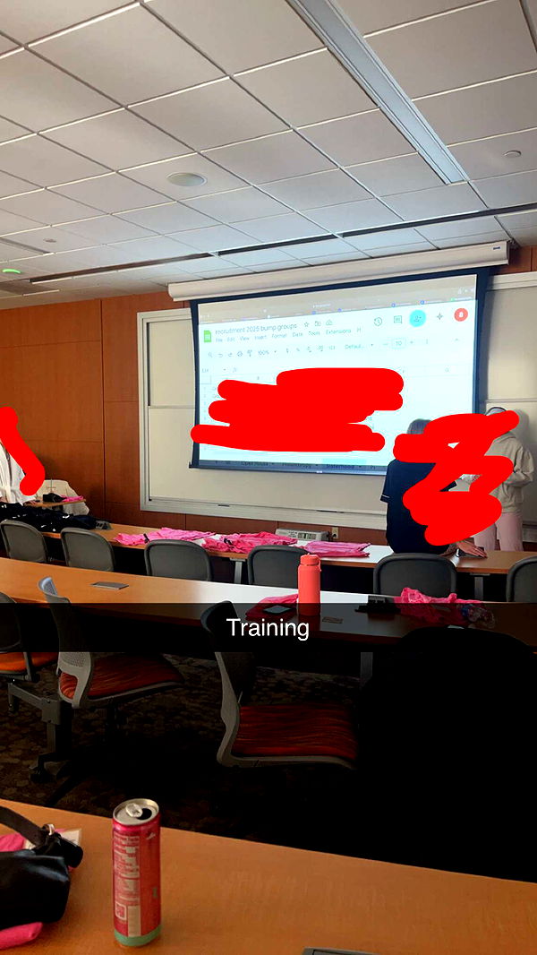 carmmieecat image ~ Altpins