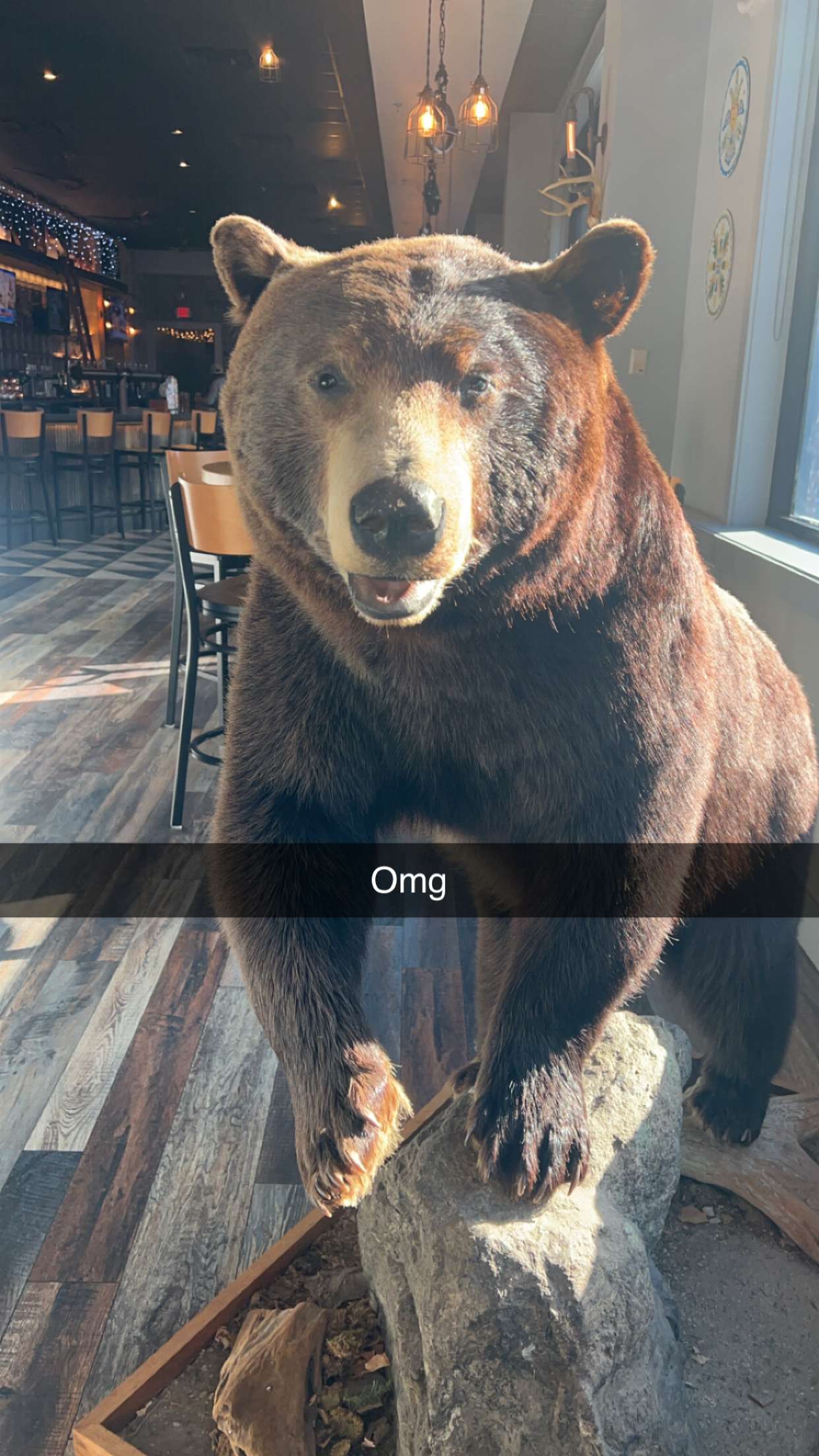 carmmieecat snapchat image archive image