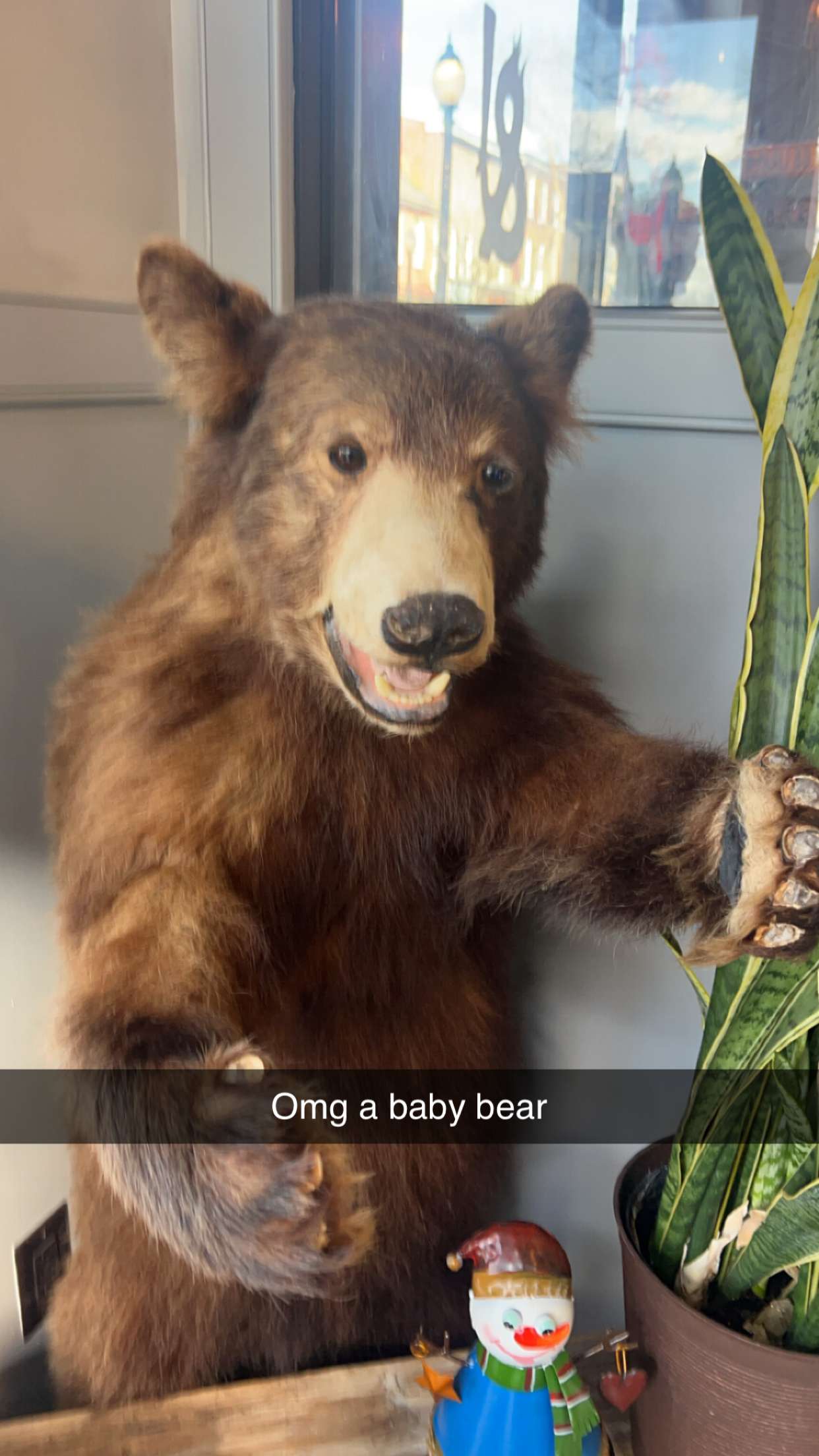 carmmieecat snapchat image archive image