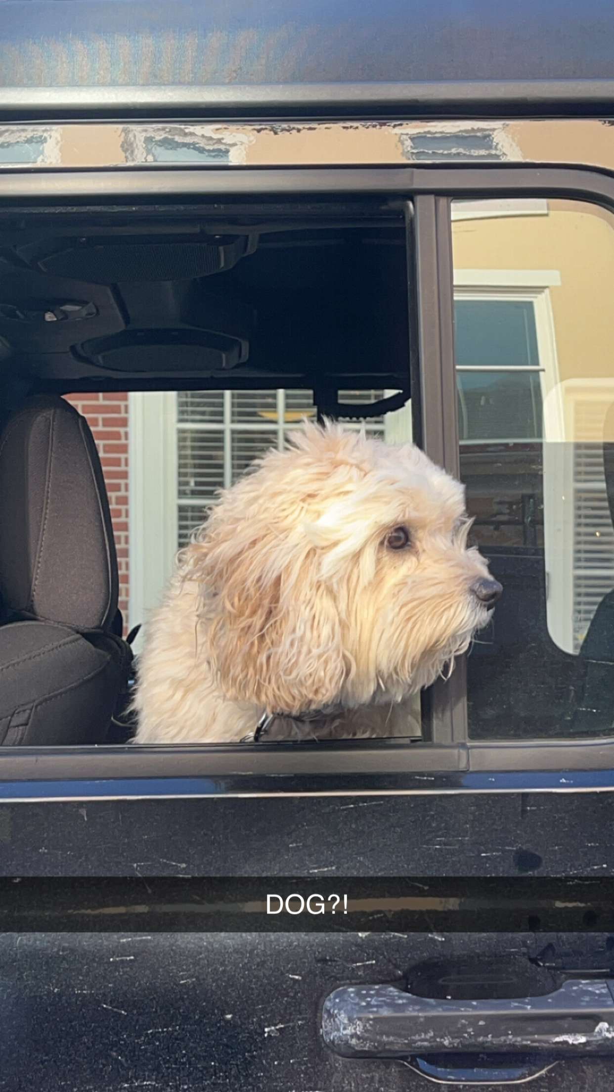 carmmieecat snapchat image archive image